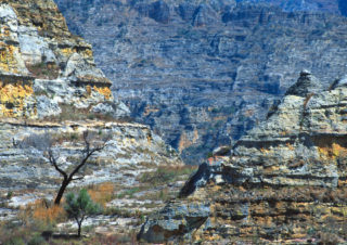 Into the wild – Isalo Park, Madagascar