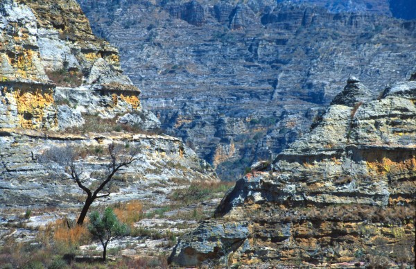 Into the wild – Isalo Park, Madagascar