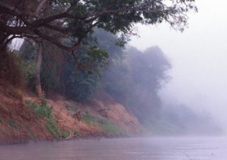 Misty Morning, Tsiribina River, Madagascar