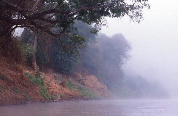 Misty Morning, Tsiribina River, Madagascar