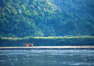 Tsiribina River, Madagascar