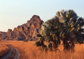 Path – Isalo Park, Madagascar