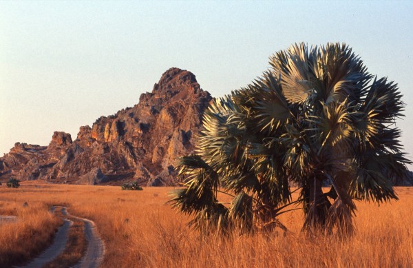 Path – Isalo Park, Madagascar