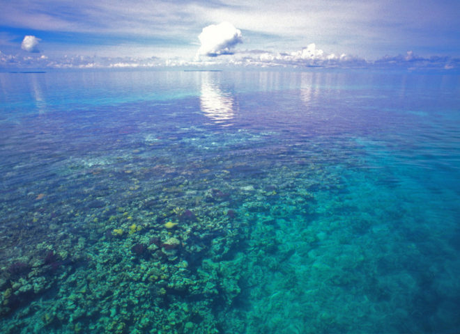 Blue Hole, Belize