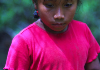 Red Frog – Bocas del Toro, Panama