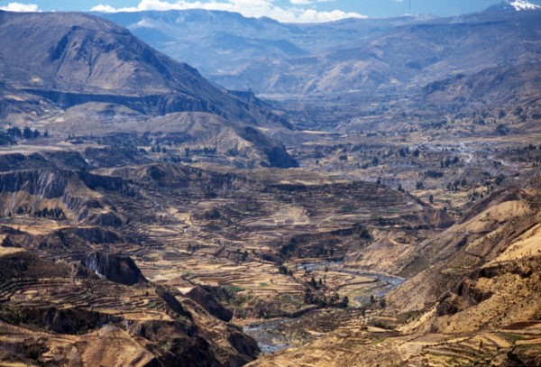 Canyon – Colca, Peru