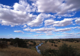 African Skies – Tarangire, Tanzania