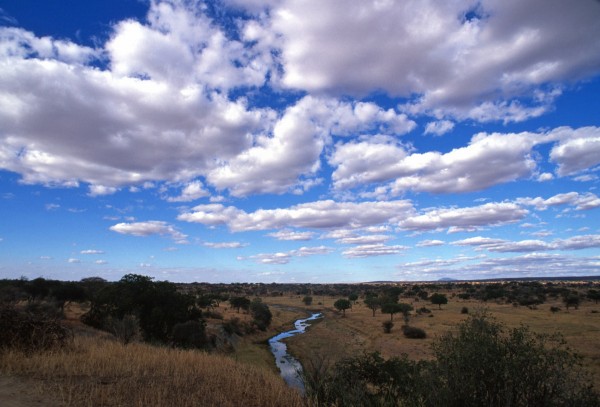 African Skies – Tarangire, Tanzania