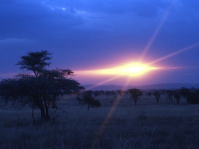 Sunset – Serengeti, Tanzania