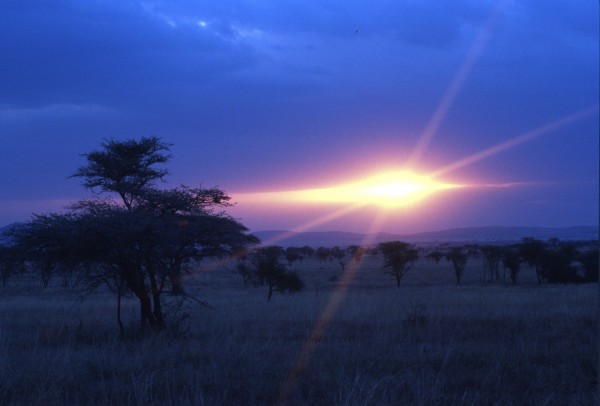 Sunset – Serengeti, Tanzania