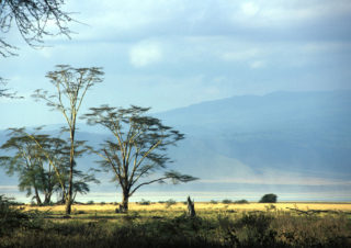 Tanzania