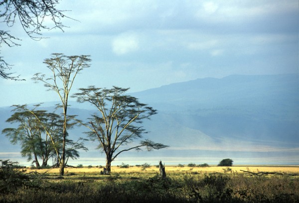 Tanzania