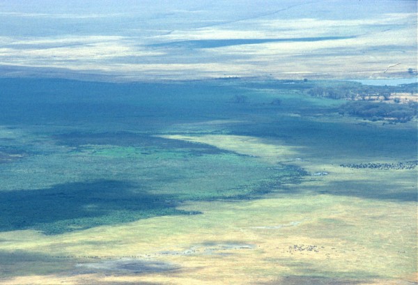 Ngorongoro, Tanzania